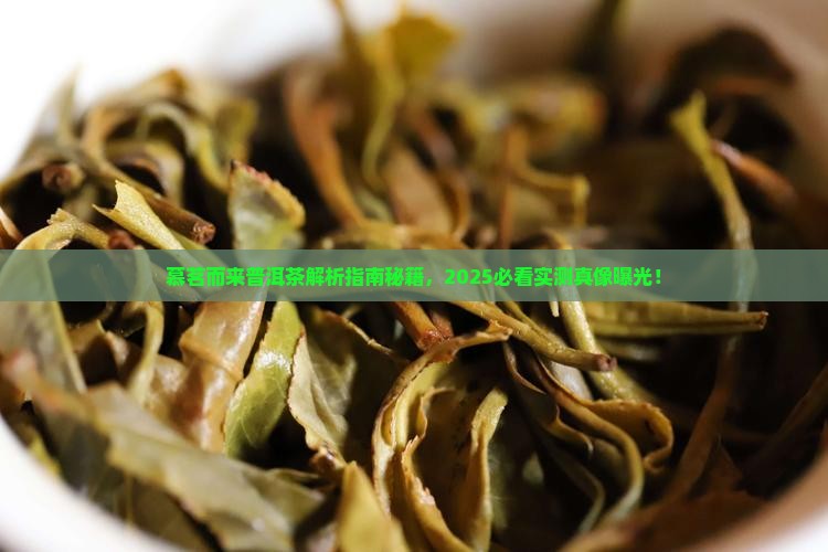 慕茗而来普洱茶
