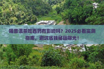 喝普洱茶吃西药有影响吗