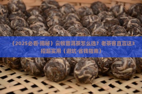 云牧普洱茶甄选精选