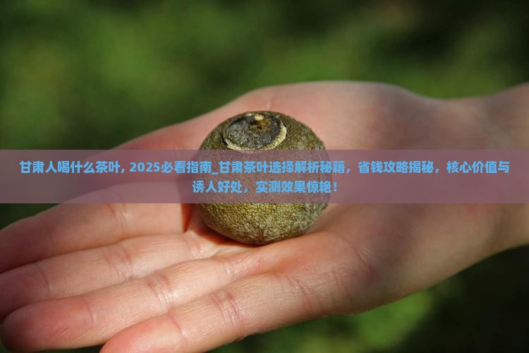 甘肃人喝什么茶叶