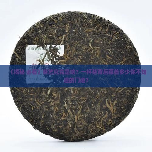 简述什么是茶艺