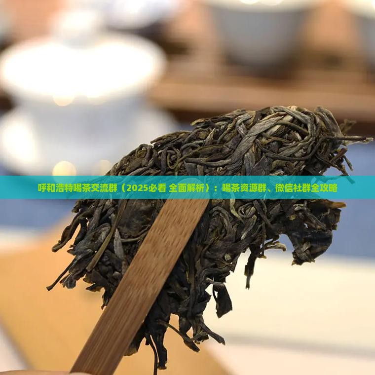 呼和浩特喝茶交流群
