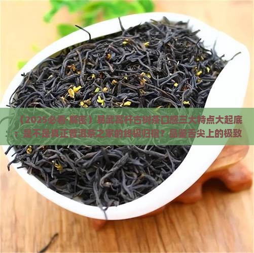 易武高杆古树茶口感