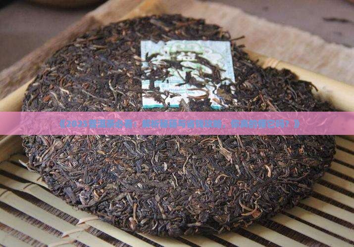 普洱茶的知识和能力