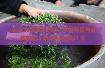 普洱茶的知识和能力