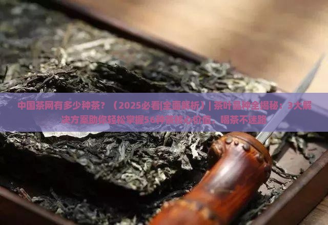 中国茶网有多少种茶
