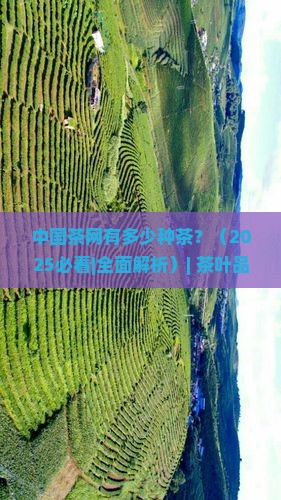 中国茶网有多少种茶