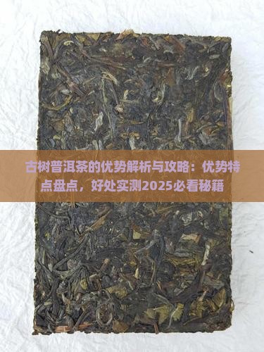 古树普洱茶的优势