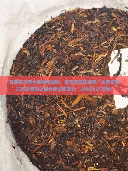 普洱茶东莞仓主要在哪里