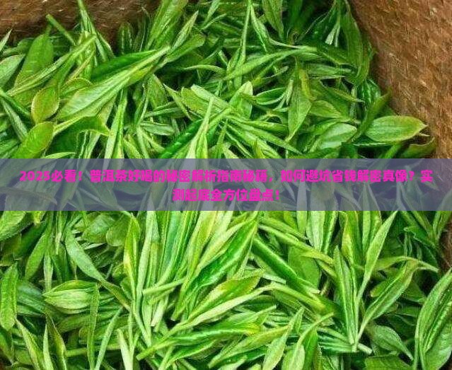 普洱茶好喝的秘密