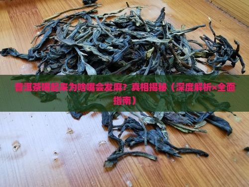 普洱茶喝起来嘴发麻吗怎么回事
