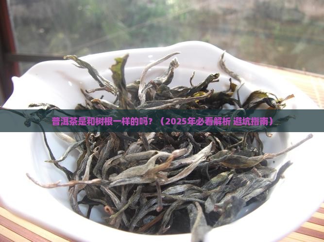 普洱茶是和树根一样的吗