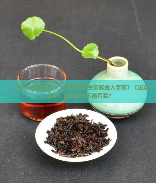 大益普洱茶生茶紫金 大益普洱茶生茶紫金