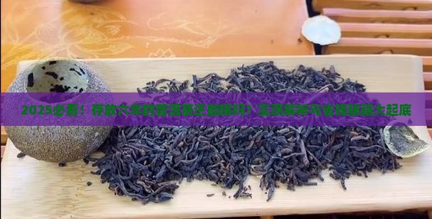 存放六年的普洱茶还能喝吗