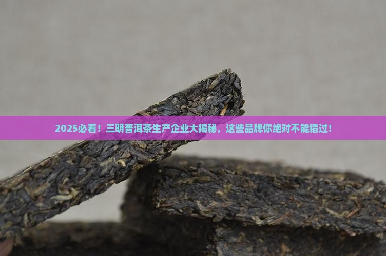 三明普洱茶生产企业有哪些
