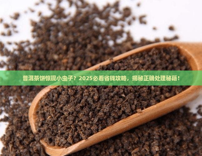 买来普洱茶饼里有昆虫怎么办