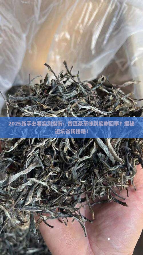 普洱茶有草味道吗