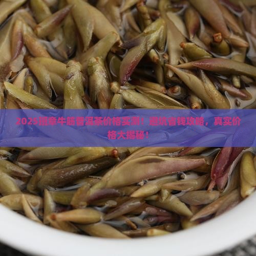 班章牛筋普洱茶价格