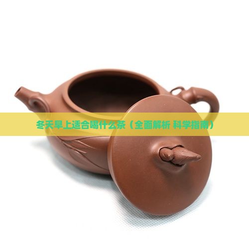 冬天早上适合喝什么茶