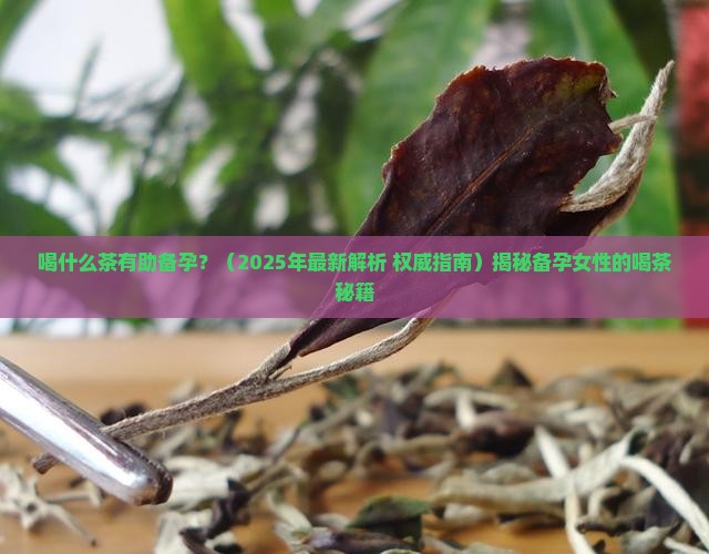 喝什么茶有助备孕