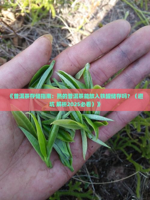 熟的普洱茶能放铁罐储存吗