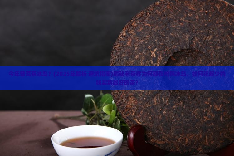 今年普洱茶冰岛