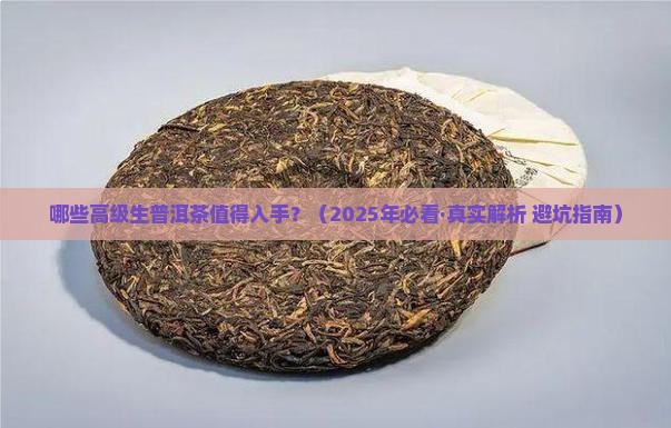 有哪些高级生普洱茶