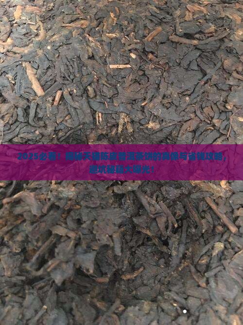 陈皮普洱茶饼天猫