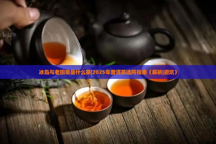 冰岛与老班章是什么茶