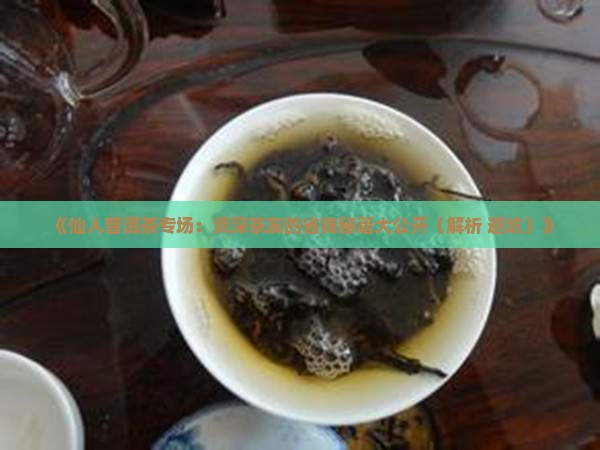 仙人普洱茶专场 仙人普洱茶专场