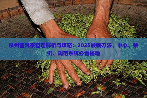 泉州普洱茶管理