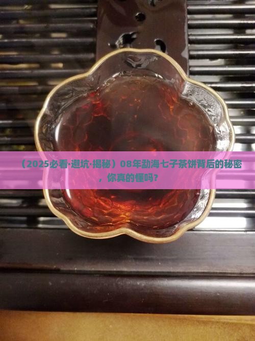 08年勐海七子茶饼