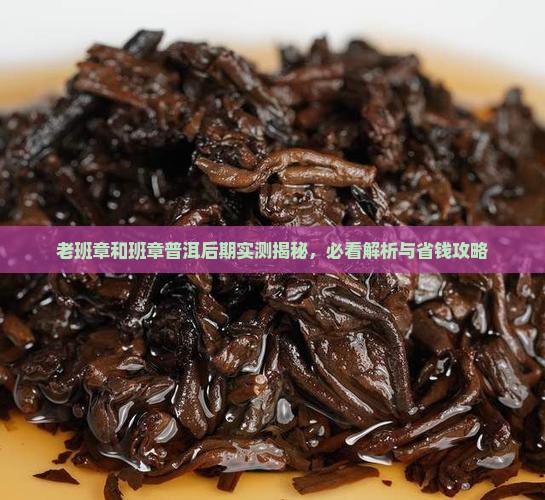 老班章和新班章后期