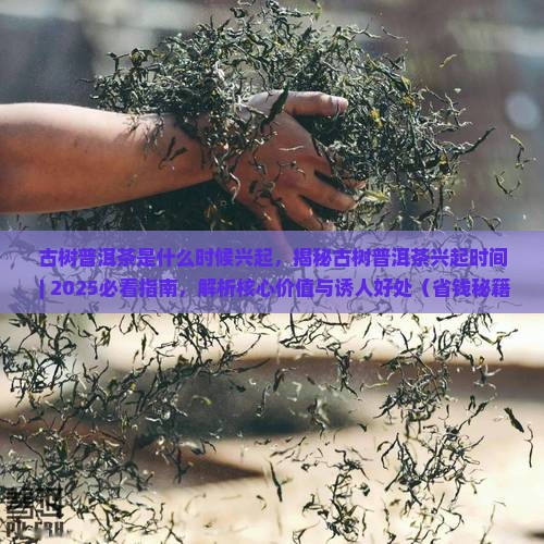 古树普洱茶是什么时候兴起