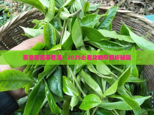 有间茶室普洱茶