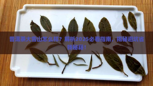 普洱茶大雪山怎么样