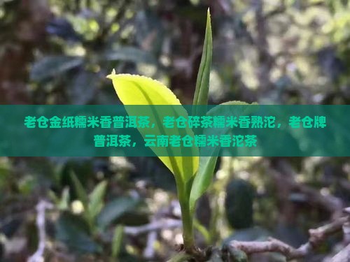 老仓金纸糯米香普洱茶
