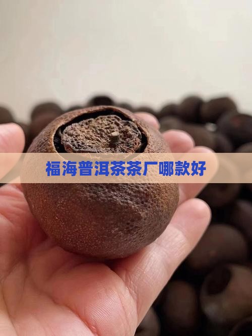 福海普洱茶哪款好