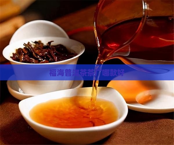 福海普洱茶哪款好