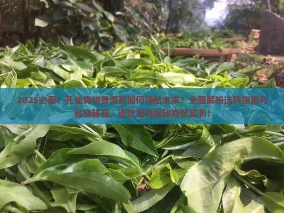 孔雀青饼普洱茶领航未来