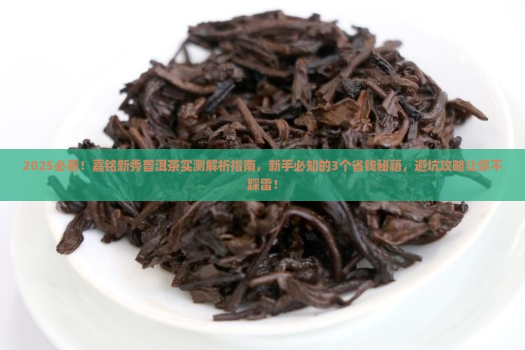 嘉铭新秀普洱茶