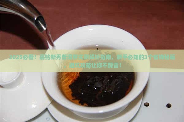 嘉铭新秀普洱茶