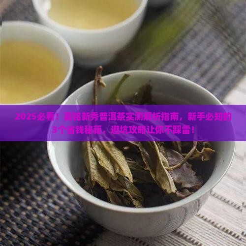 嘉铭新秀普洱茶