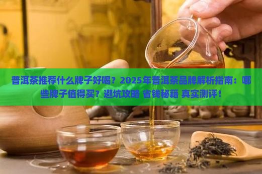 普洱茶推荐什么牌子好喝