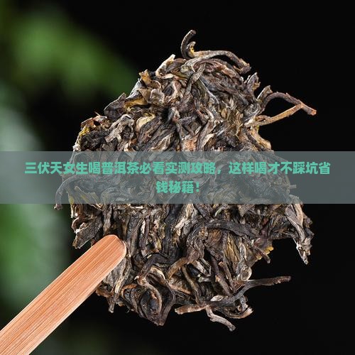 三伏天喝普洱茶好吗女生