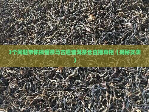 茶马古道普洱茶仓直播