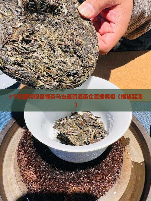 茶马古道普洱茶仓直播