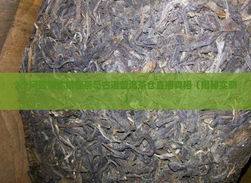 茶马古道普洱茶仓直播