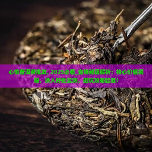 心愉普洱茶批发
