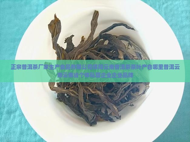 正宗的普洱茶生产厂家